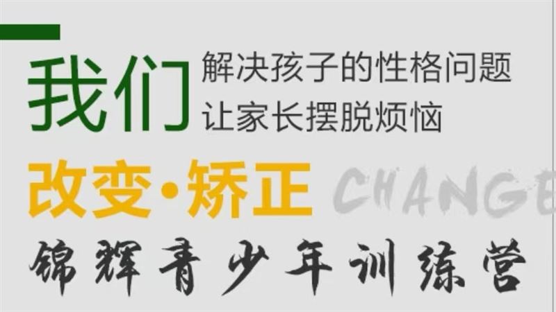 锦辉青少年心理素质教育